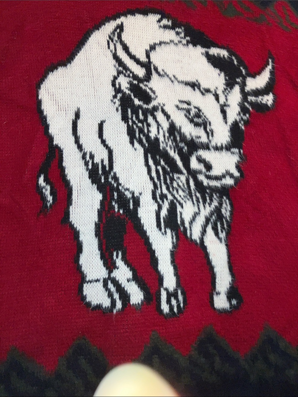Red Buffalo Graphic Wool Zip-Up Hooded Sweater - Picture 11 of 11